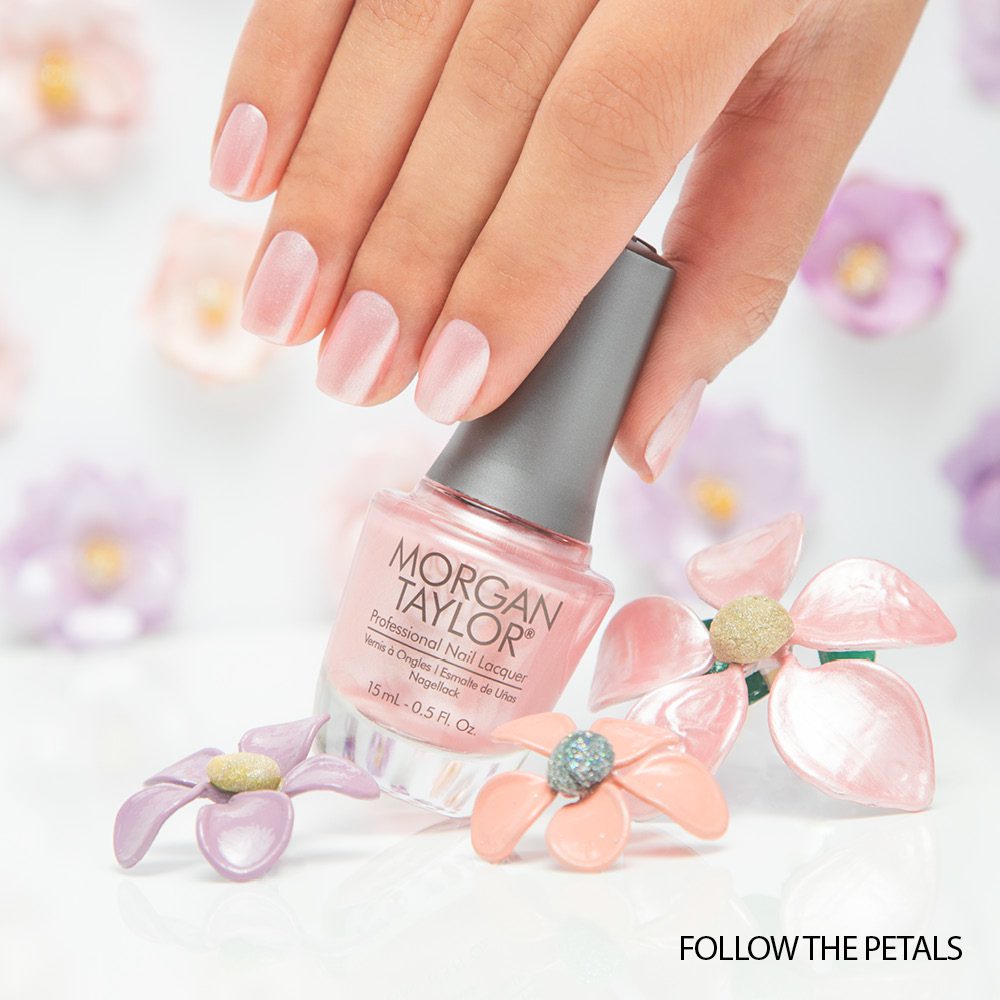 10025-SP19-MT-FollowThePetals.jpg