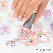 Follow the Petals