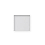 Platinum Powder Clear