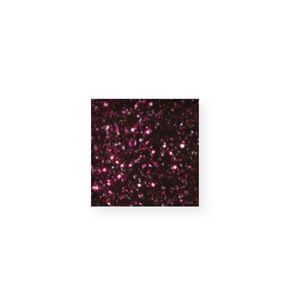 Nail Creation Color Acryl Burgundy